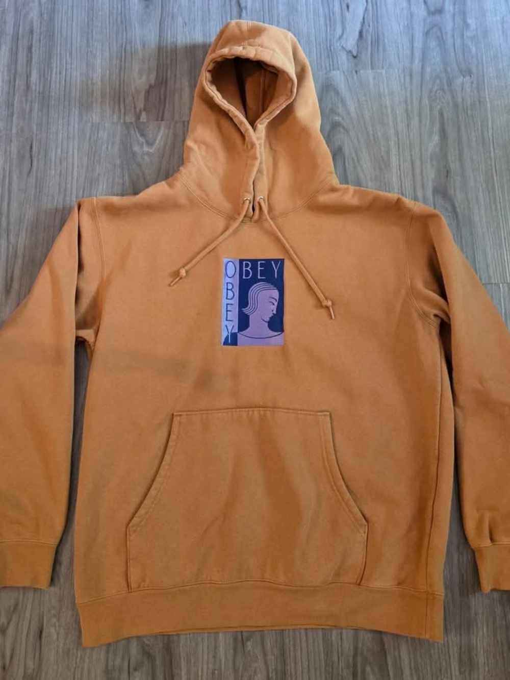 Obey Rio Embroidered Hoodie